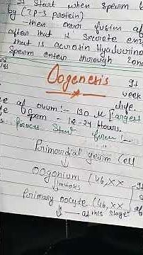 Oogenesis Explained in 2 Minutes | Stages of Egg Formation | Short Biology Lecture