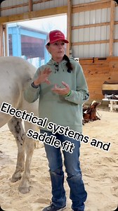 ☘️The Nervous system in our equine partners . ☘️Sensory nerves in a horse’s muscles transmit information about the muscle’s state and surrounding environment to the central nervous system (CNS). They play a crucial role in helping the horse sense pain, touch, temperature, and even muscle position, all of which contribute to the horse’s overall awareness of its body and surroundings ☘️Sensory Input: Sensory nerves detect various stimuli within the muscles, such as pain, pressure, and temperature