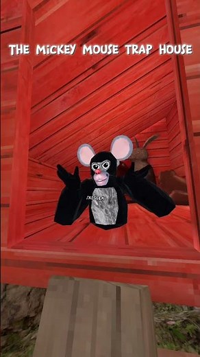 Mickey Mouse trap house