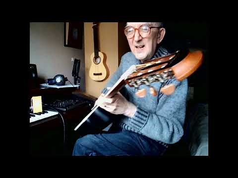 Ovation Celebrity CS24C-4-G review.