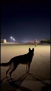 411K views · 20K reactions | It was quiet. Cold. Dim lights. Shadows...