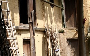 松下gh4 14-140镜头随拍测试，主要目的是看看视频效果记录一下摄制的情况。