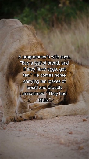 Joke: The Programmer
