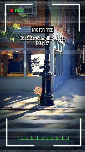 Keebler E.L Fudge Sampling Tree incoming 🍪🌳 AD The @Keebler Elves are setting up a Sampling Tree in New York City with free cookies on May 7th! Keebler just launched the new E.L. Fudge Choco Vanilla Cookies, and the Keebler Elves are celebrating with a free pop-up to share their new creation! These cookies feature all 6 Keebler Elves and a chocolatey cookie on the outside and vanilla-flavored crème on the inside. Head to 301 6th Avenue from 11am-6pm on Wednesday May 7th to try this new creatio