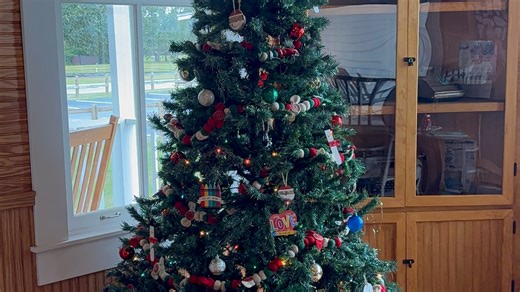 Which country invented the Christmas tree? Christmas tradition origins