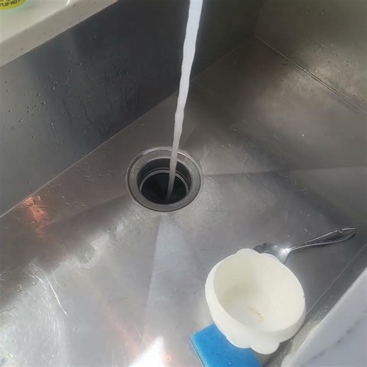 Garbage Disposal Repair