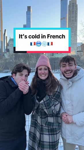 French Phrases to Describe Cold Weather in Central Park, NY