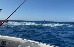 799K views · 6.5K reactions | Foam is home!! The tuna fishing has been going crazy lately! Check out our latest charts to find the temp breaks and connect on offshore pelagics while they're still around! . . . . . . . . #Satfish #Satfish_Offshore #ReadTheWater #FishingMaps #FishingCharts #OffshoreFishing #DeepSeaFishing #Fishing #Sportfishing #Fisherman #Angler | SatFish | Facebook