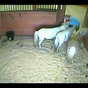 10K views · 95 reactions | Fails fails and fails...!  Via WasteD EngineeR | Amazing facts | Facebook