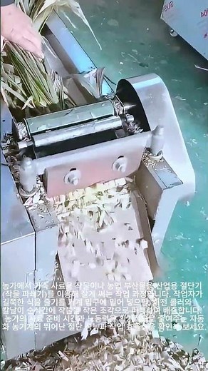 대량의 농업 부산물을 빠르게 처리하는 작물 파쇄기 작동 원리 #worker #process #machine #chopping #agriculture