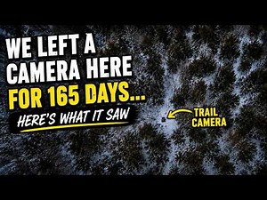 We Left a Trail Camera in a Cedar Swamp for 165 Days... Here's What It Saw