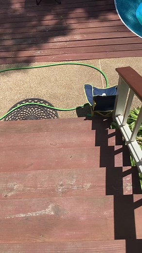 Exploring the Contents of Our Pool Skimmer | Pool Skimmer Critter Investigation