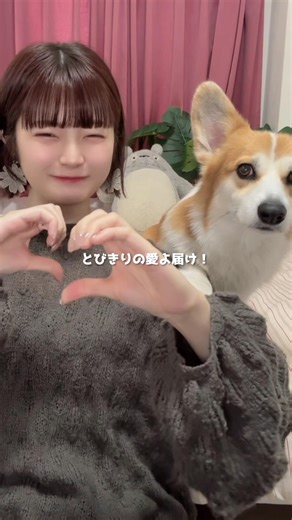 名前だけでも覚えてってください🐕🙏🏻 #学園アイドルマスター #コーギーのいる暮らし #振り付け