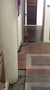 493K views · 2.2K reactions | Nasssssty sssurprise for some Hall residents at Nanyang Technological University, Singapore this morning. (Video: The Nanyang Chronicle) | CNA | Facebook