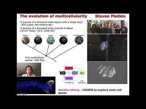 The evolution of multicellularity - Dr. Steven Plotkin