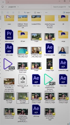 How i organize my project files 🙀#editor #editorlife #meme #vtvcab #comedy
