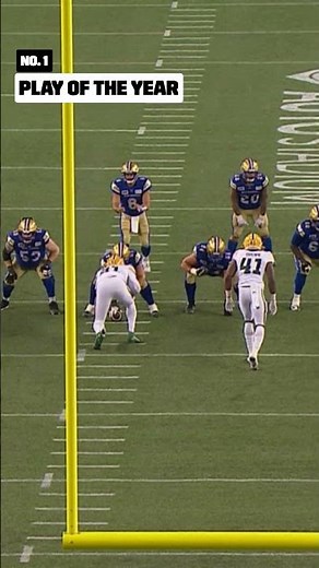 CFL’s Top Play of the Year! 🏈✨ #1 Moment Revealed