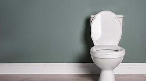 Why Your Toilet is Squealing (and What to Do About It)