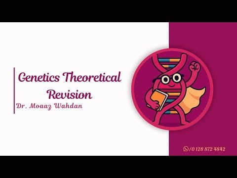 Genetics Theoretical Revision | MTI جامعة