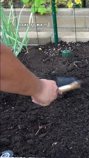 Fall Planting Guide: Spinach, Radish, Cabbage & More Cool-Season Vegetables!