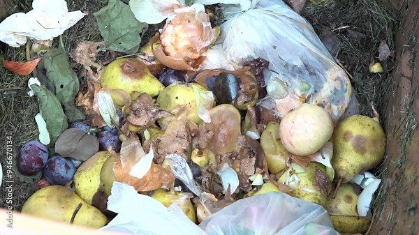 A close-up of organic waste in a compost bin, including rotting fruits, vegetable peels, and leaves, promoting sustainable waste disposal.