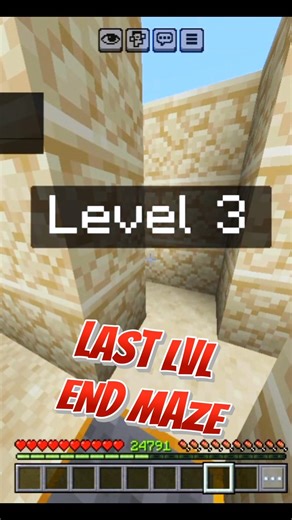 I Survived The Last Level Minecraft Maze!
