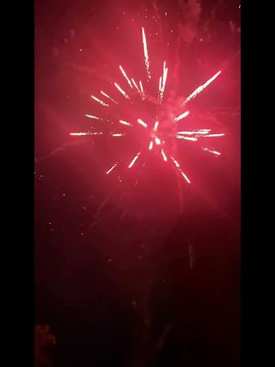 Fireworks Misfire into House
