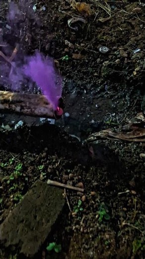 light a cool purple smoke firecracker #trendingshorts