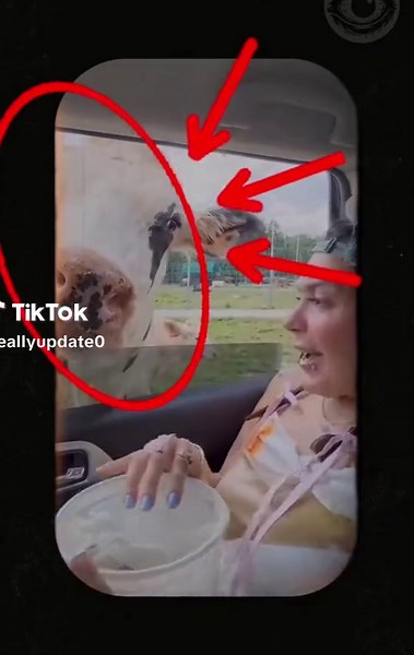 The Cow Incident in USA: A Creepy Horror Story