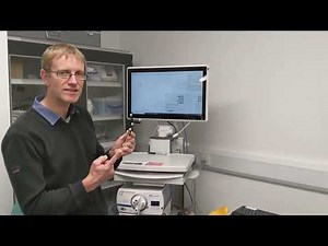 MPHY0026: Example of Pivot Calibration