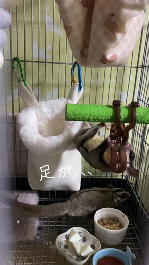 TikTokでyちゃんさんをチェック！