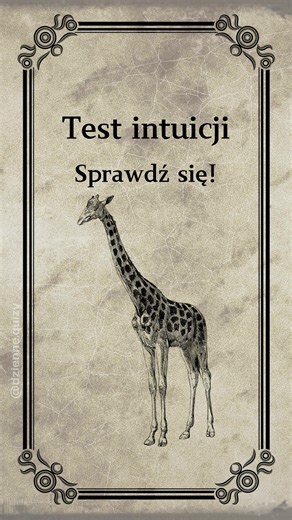 Test intuicji: Sprawdź swoje przeczucie!
