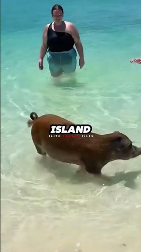 The Craziest Wars In History 😱 | You Won't Believe These Battles #CrazyWars #History #WeirdHistory