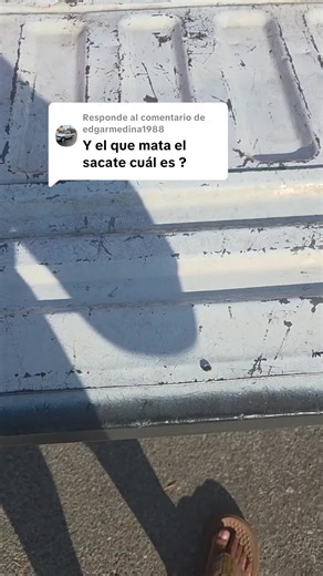 Creative Landscaping Ideas for Your Outdoor Space