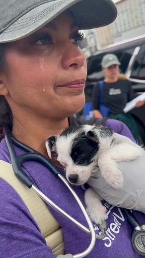 OMG! @Genesis The Street Vet Nurse is the heart of Project Street Vet. She loves all animals, but especially “da puppers.” Little Patches reminded her of her pup Pickles that she rescued a few years ago. 💕 #puppylove #puppies #pups #petparent #kindness #giveback #vet2pet #streetvetteam #veterinary #vetlife #vettechlife #veterinarycare #pets #rescue #petrescue #adoption #petadoption #unhoused #nojudgementjusthelp #petsarefamily #thestreetvet #volunteerism