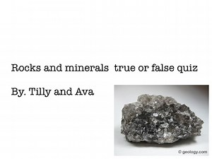 True Or false By Tilly & Ava