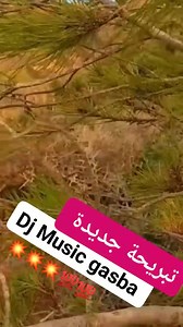 281K views · 5.1K reactions | #dj_music_gasba #gasba_live #آلة_القصبة #gasba #اغاني_زمان #rai #gasba_music #اغاني | Abdelatif Lahcene | Facebook
