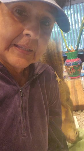 Piggyback ride for Sparky. | Peanut and Rip and Rocky the Squirrel, Scarlette and Sparky the Squirrel