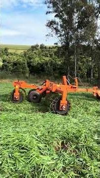 Passando rolo faca na massa verde de Brachiaria, no sistema Santa Fe