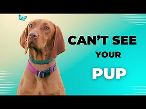 Common Eye Defects Summary