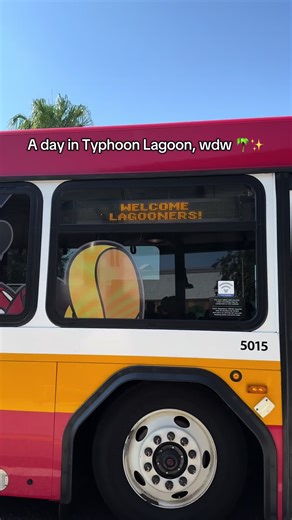 Experience Fun at Typhoon Lagoon, Walt Disney World