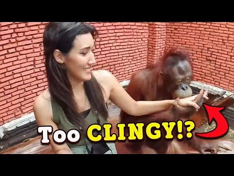 15 Animals Acting Like Humans 🐶🐱