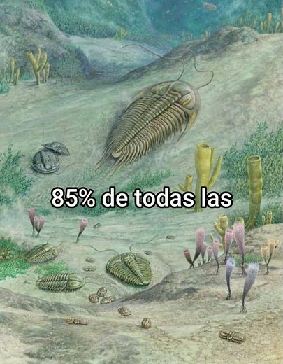 Sideral Death: the Mass Extinction of the Ordovician Silurian