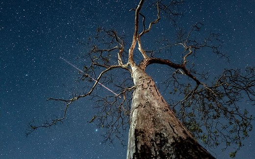 一看就会！让你的视频动起来，Pr延时视频合成。