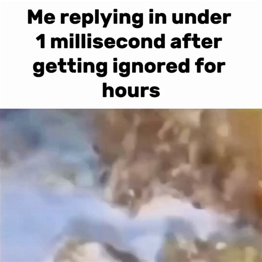 the meme archive (@memearchives_) on X