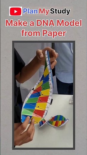 Make DNA Model from paper #science #biology #DNA #rna #planmystudy