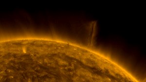 Towering solar tornado emerges from the sun