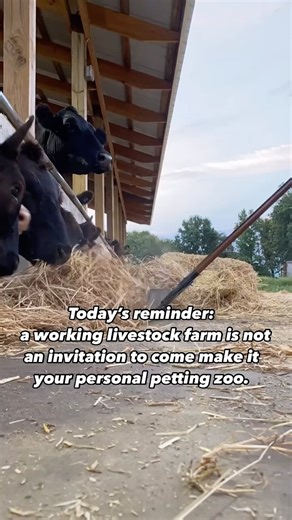 11K views · 130 reactions | We are not a zoo. Just showing up on a...