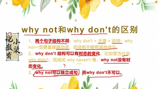why not和why don t的区别
