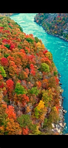 Fall in Niagara is unmatched 😍🍁 | Niagara Parks